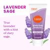 Lume Whole Body Deodorant 5 Pack Sampler – Invisible Cream Minis – 72 Hour Odor Control – Aluminum & Baking Soda Free (Clean Tangerine, Lavender Sage, Peony Rose, Toasted Coconut, Unscented)(Lavender Sage)