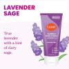 Lume Acidified Body Cream – Smooth Appearance of Rough, Bumpy Skin – Paraben Free, Lanolin Free, Skin Safe – 6 ounce (Lavender Sage)