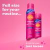 Lume Deodorant Plus Sweat Control – Invisible Spray – Extra Strength Antiperspirant For Underarms – 72 Hour Odor And Sweat Control – Baking Soda Free – Full Size + Mini 2 Pack (Soft Powder)(Soft Powder)