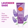 Lume Acidified Body Wash – 24 Hour Odor Control – Removes Odor Better than Soap – Moisturizing Formula – Formulated Without SLS or Parabens – OB/GYN Developed – 8.5 ounce (Peony Rose)(Lavender Sage)