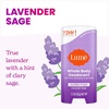 Lume Whole Body Deodorant – Invisible Cream Stick – 72 Hour Odor Control – Doctor Developed – Aluminum Free, Baking Soda Free and Skin Loving – 2.2 Ounce (2 pack) (Soft Powder & Clean Tangerine)(Lavender Sage)